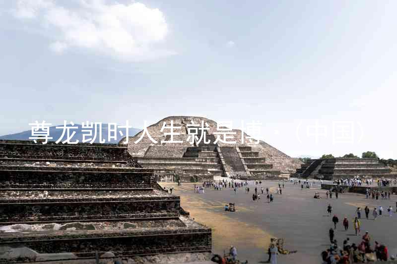 尊龙凯时人生就是博·(中国)
