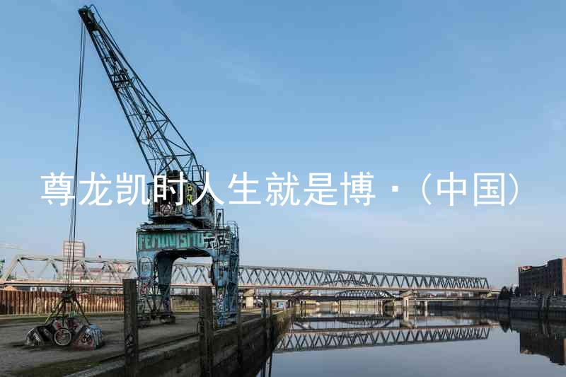 尊龙凯时人生就是博·(中国)